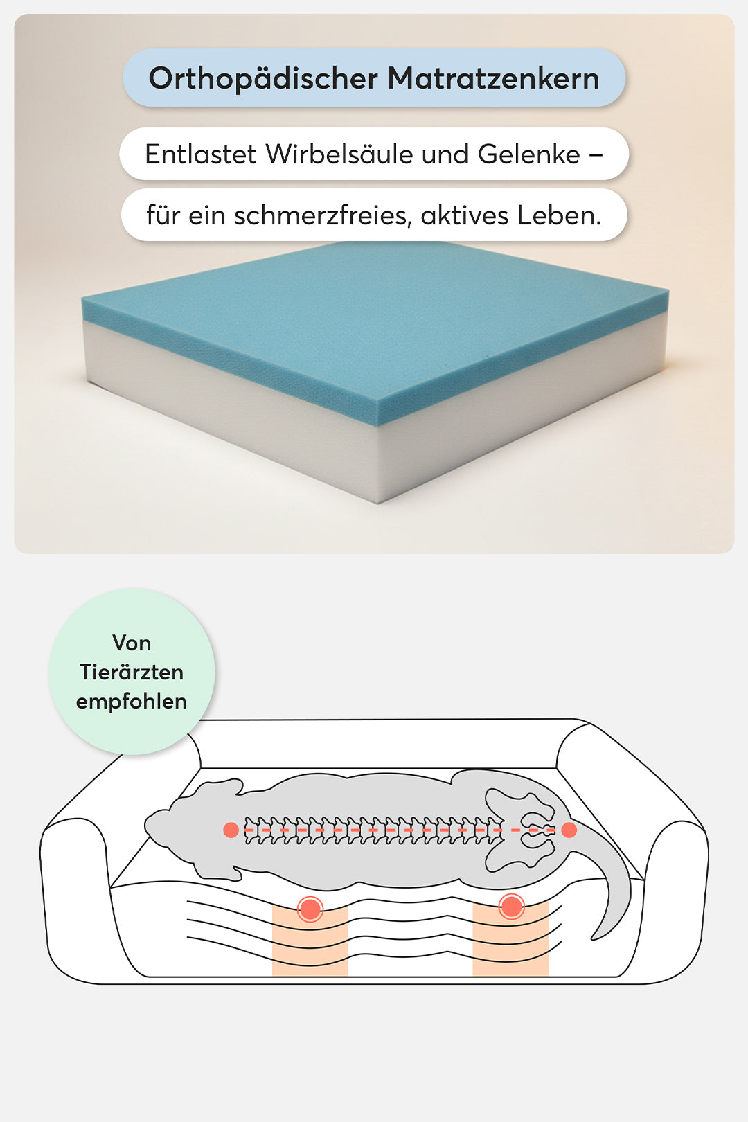 Orthopädisches Hundebett Pure Beige - Teppana